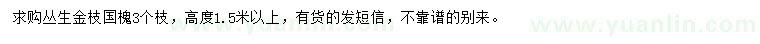 求購高1.5米以上叢生金枝國槐