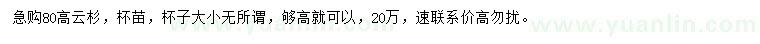 求購高80公分云杉