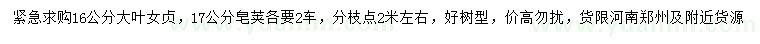 求購16公分大葉女貞、17公分皂莢