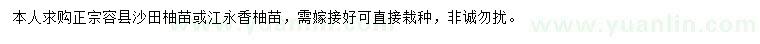 求購(gòu)沙田柚苗