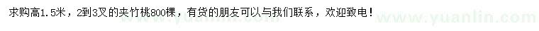 求購(gòu)高1.5米夾竹桃