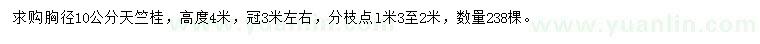 求購(gòu)胸徑10公分天竺桂