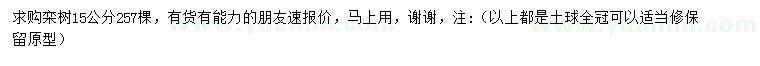 求購15公分欒樹