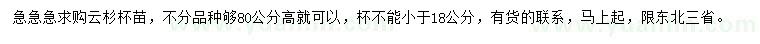 求購云杉杯苗