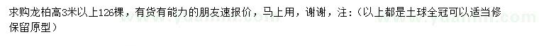 求購高3米以上龍柏