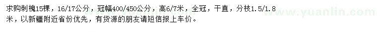 求購16-17公分刺槐