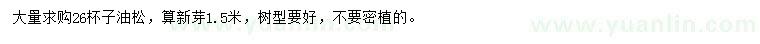 求購(gòu)油松