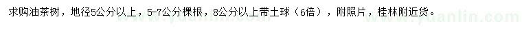 求購(gòu)地徑5公分以上油茶樹(shù)