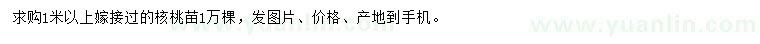 求購(gòu)1米以上嫁接過(guò)核桃苗