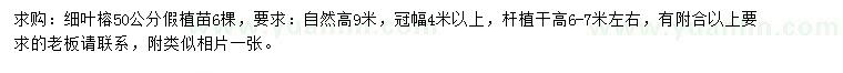 求購50公分細(xì)葉榕假植苗