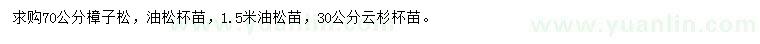 求購樟子松、油松、云杉