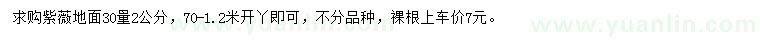 求購地面30量2公分紫薇