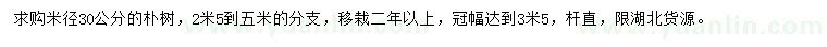 求購米徑30公分樸樹