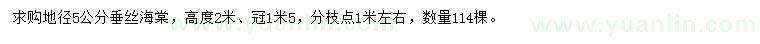 求購(gòu)地徑5公分垂絲海棠