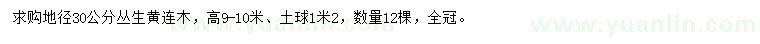 求購地徑30公分叢生黃連木