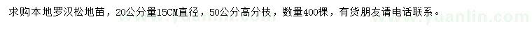 求購本地羅漢松地苗