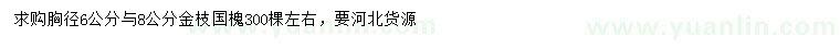 求購胸徑6、8公分金枝國槐