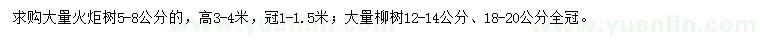 求購火炬樹、柳樹