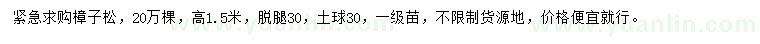求購高1.5米樟子松