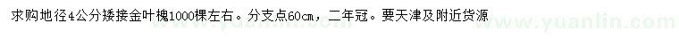 求購地徑4公分矮接金葉槐