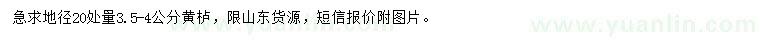 求購地徑20量3.5-4公分黃櫨