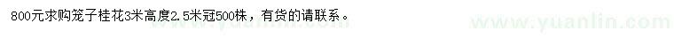 求購高3米籠子桂花