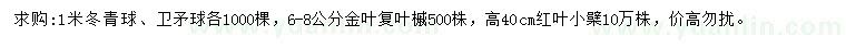 求購(gòu)冬青球、衛(wèi)矛球、金葉復(fù)葉槭等