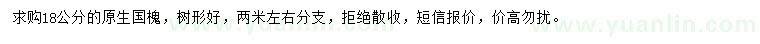 求購18公分國槐