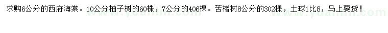 求購西府海棠、柚子樹、苦楮