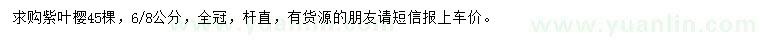 求購6-8公分紫葉櫻