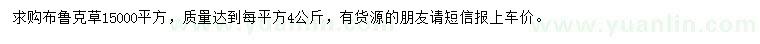 求購布魯克草