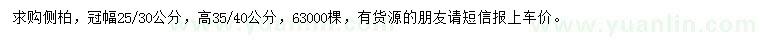 求購高35-40公分側柏