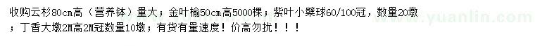 求購云杉、金葉榆、紫葉小檗球等