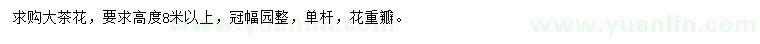 求購高8米以上大茶花