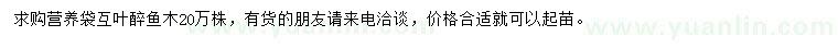 求購營養(yǎng)袋互葉醉魚木