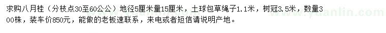 求購地徑5公分量15公分八月桂