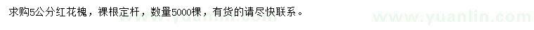 求購5公分紅花槐