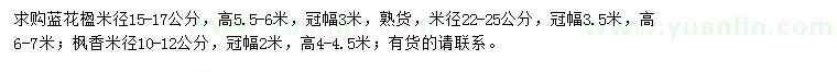 求購(gòu)藍(lán)花楹、楓香