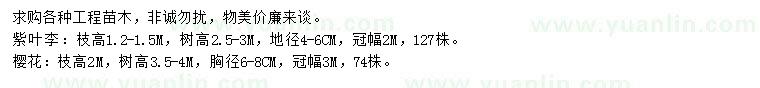 求購(gòu)紫葉李、櫻花