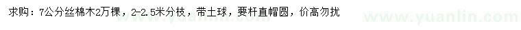求購7公分絲棉木