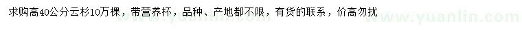 求購(gòu)高40公分云杉