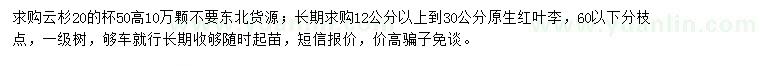 求購云杉、原生紅葉李