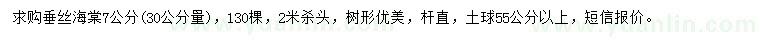求購30公分量7公分垂絲海棠