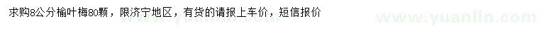 求購8公分榆葉梅