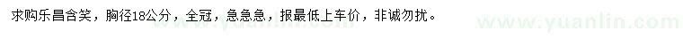 求購胸徑18公分樂昌含笑