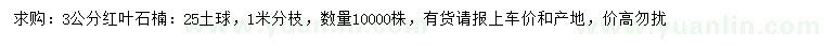 求購3公分紅葉石楠