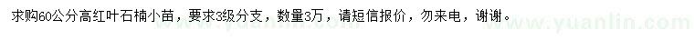 求購高60公分紅葉石楠小苗