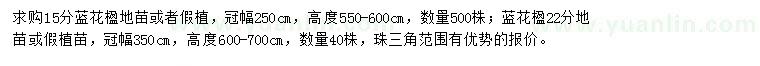 求購(gòu)15、22公分藍(lán)花楹地苗或者假植苗