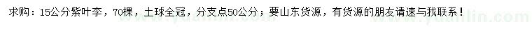 求購15公分紫葉李