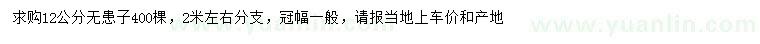 求購12公分無患子